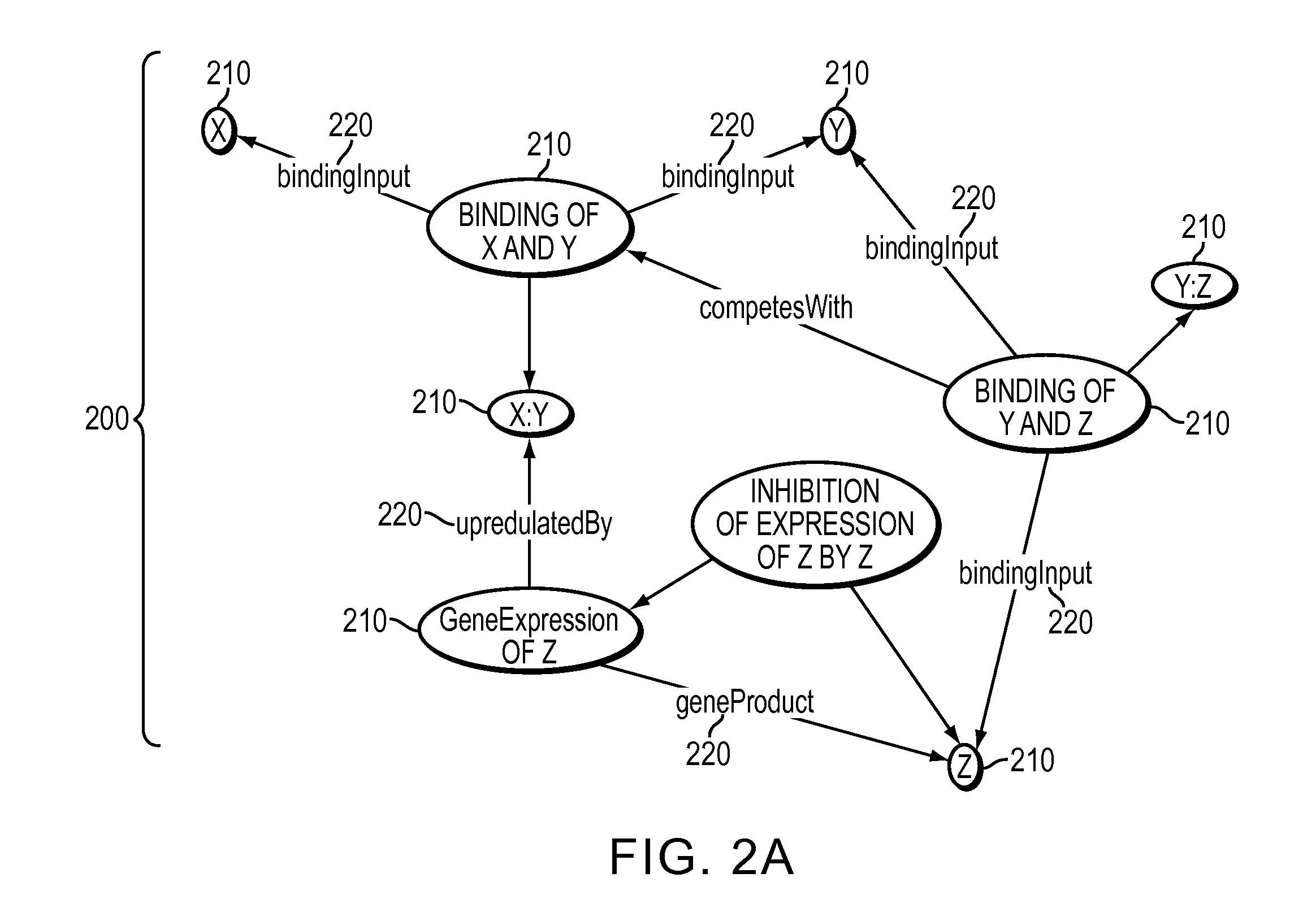 Method, system and apparatus for assembling and using biological knowledge