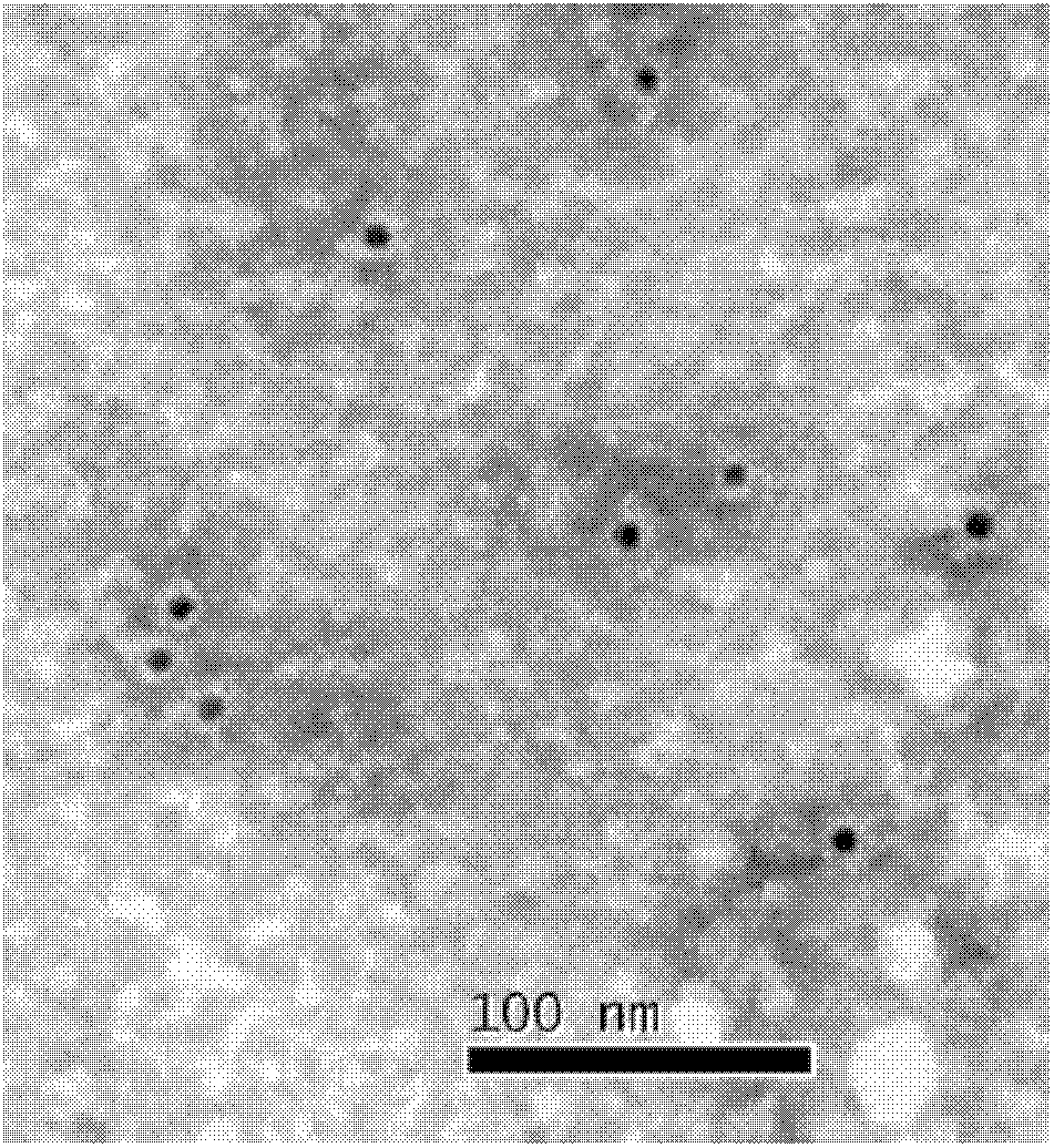 Preparation method of rabbit hemorrhagic fever virus empty capsid antigen