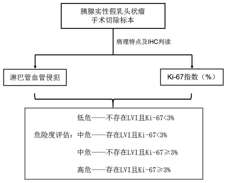 System for prognosis evaluation of pancreatic solid pseudopapilloma