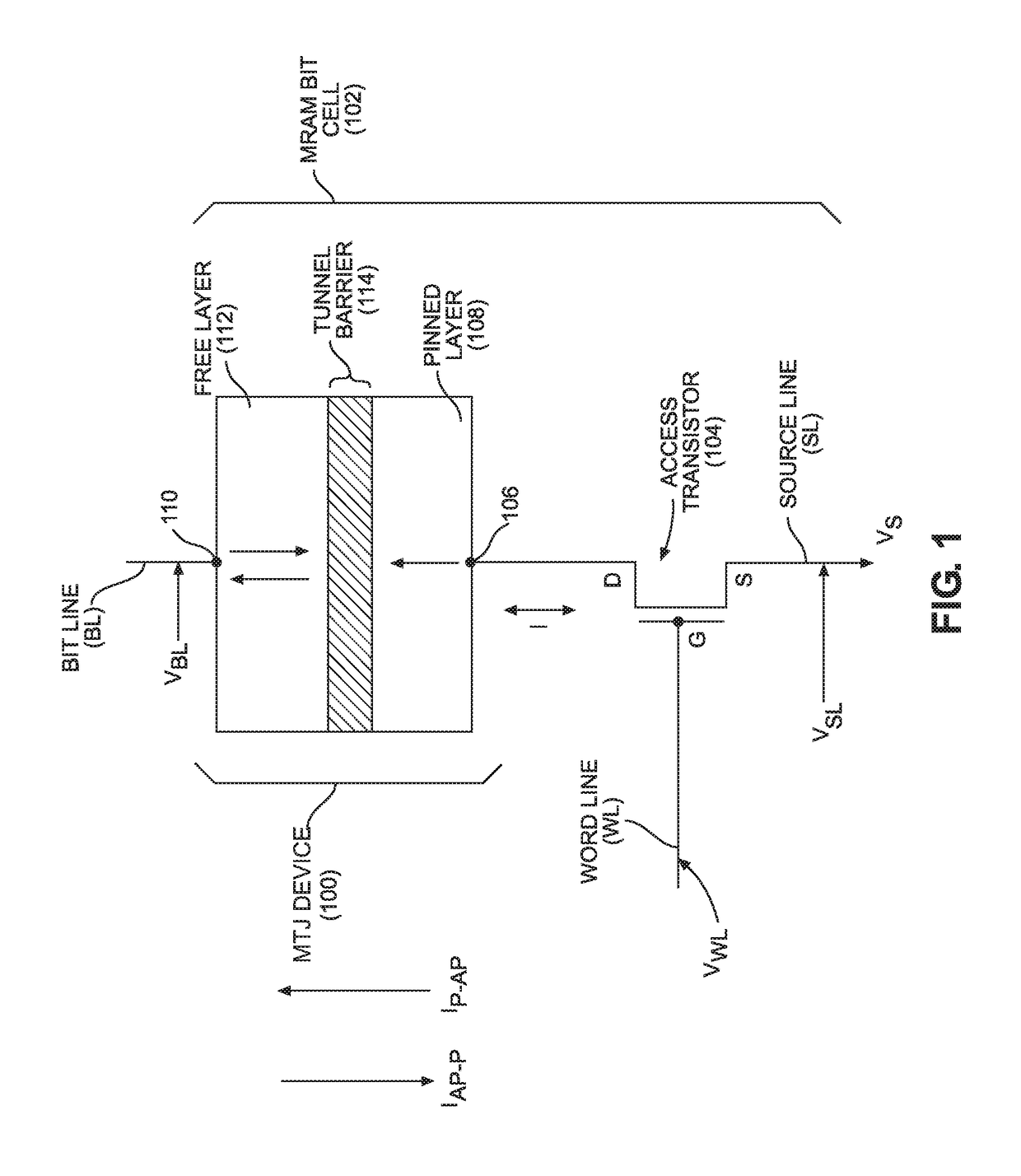 Voltage-switched magneto-resistive random access memory (MRAM) employing separate read operation circuit paths from a shared spin torque write operation circuit path