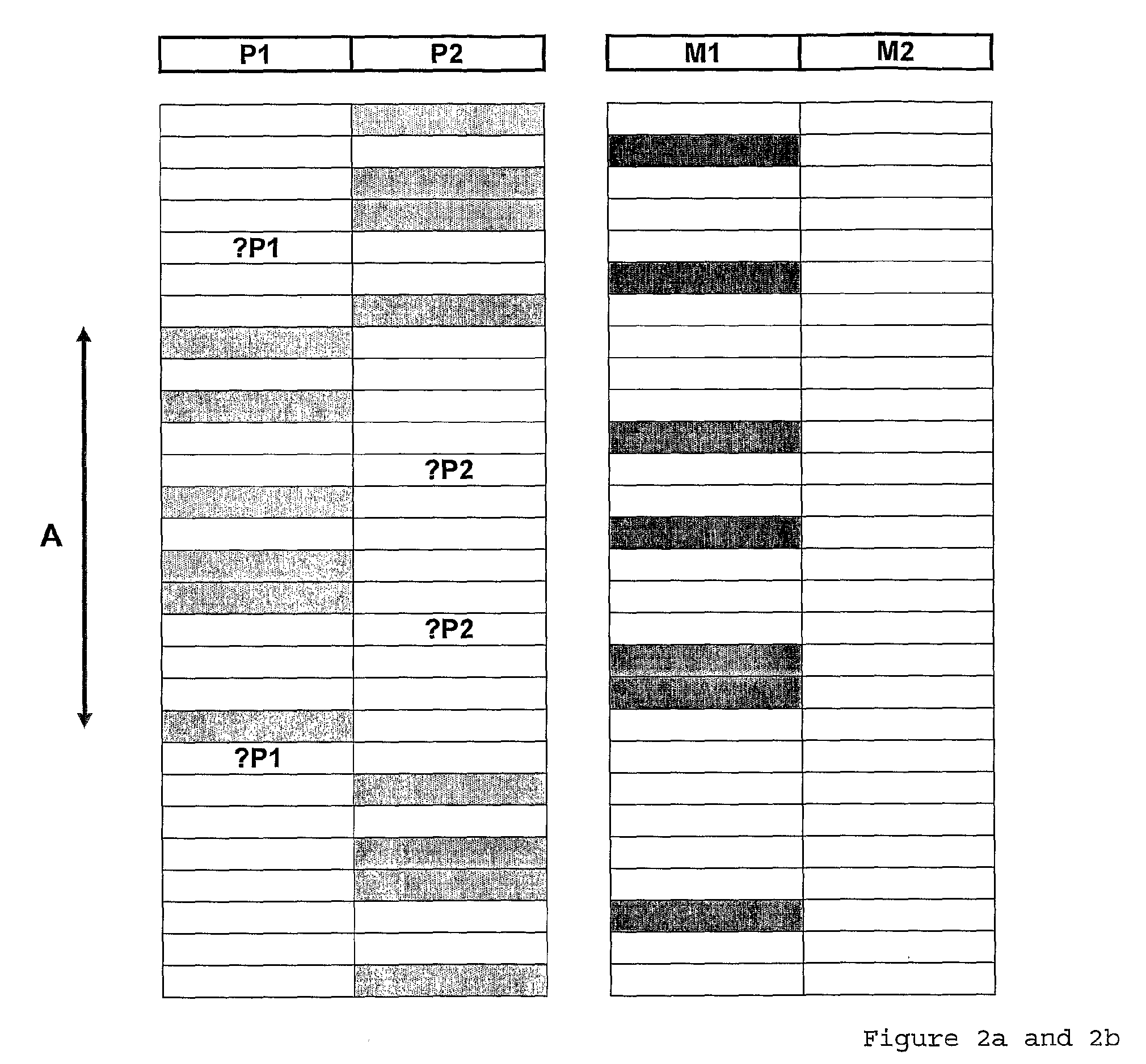 Chromosomal Analysis By Molecular Karyotyping