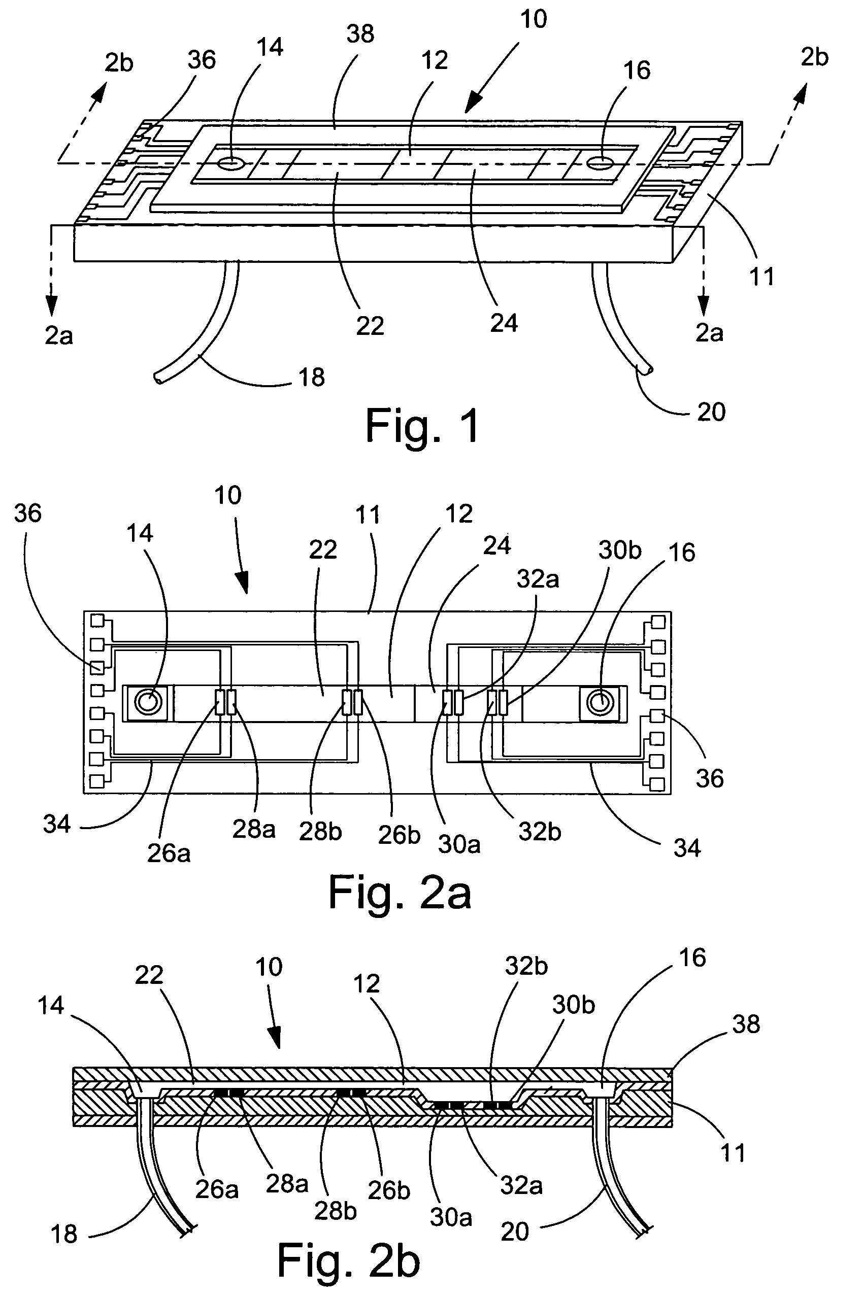 Method and apparatus for measuring changes in cell volume