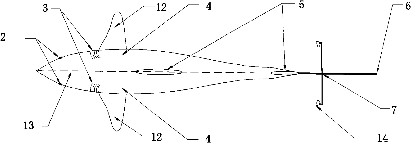 Biomimetic fish for recreation, entertainment and body building