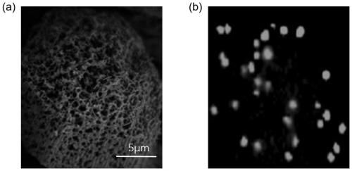 Function enhanced metal organic framework-based composite phase change material and preparation method thereof