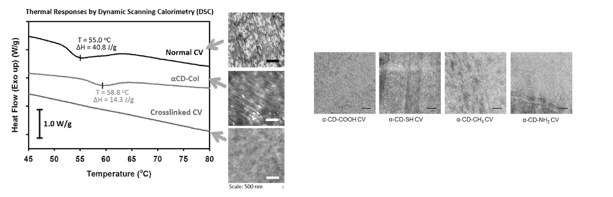 Cornea mimetic biomaterials: vitrified collagen-cyclodextrin implants