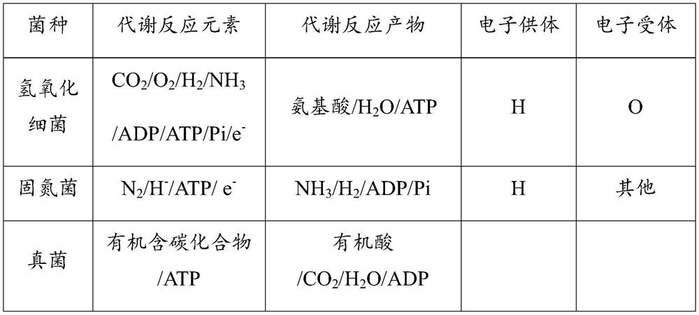 A kind of compound bacterial strain based on hydrogen oxidizing bacteria and culture method thereof