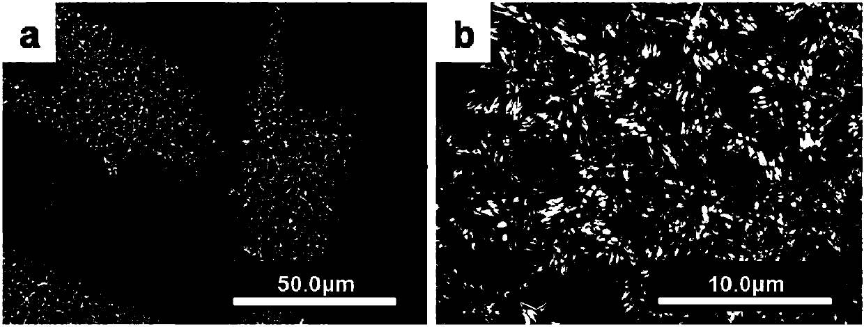 Titanium dioxide/sulfonated oxidized graphene/silver nanoparticle composite film and preparation method and application thereof