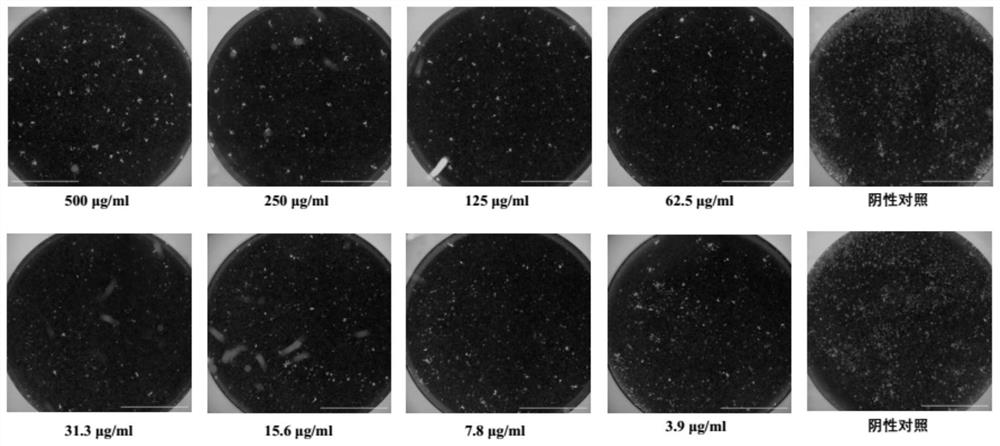 Method for preparing functional fish leisure food through 3D printing