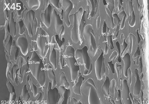 High-thermoplasticity foam polyester