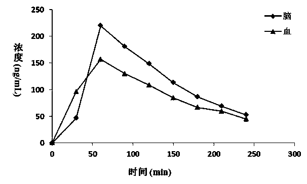 Synchronous analysis method for trace nicotine in blood-brain samples of animal and main metabolites thereof