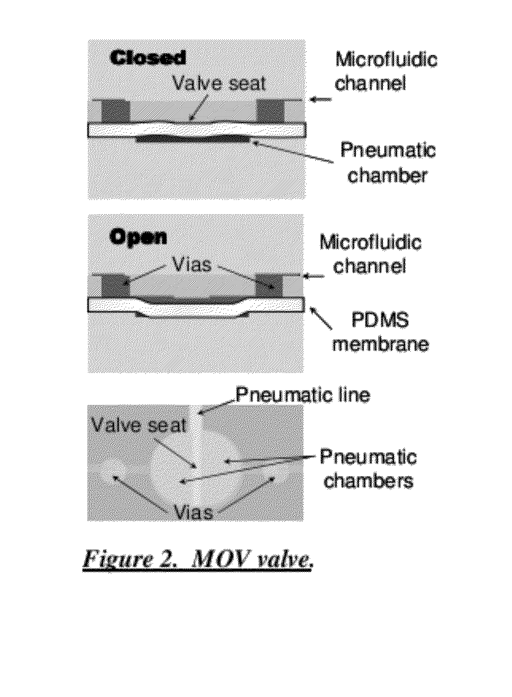 Microfluidic and nanofluidic devices, systems, and applications