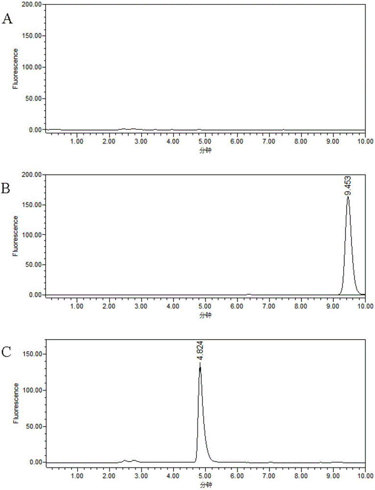 Alcaligenes faecalis and application thereof in degrading ochratoxin A