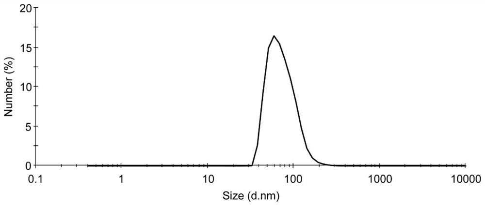 Vaccine vector prepared based on anionic polymer and derivatives thereof