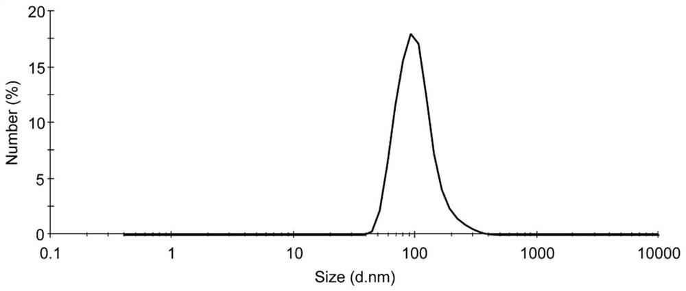 Vaccine vector prepared based on anionic polymer and derivatives thereof