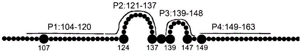 Anti-hepatitis B virus surface antigen completely humanized human antibody and use thereof