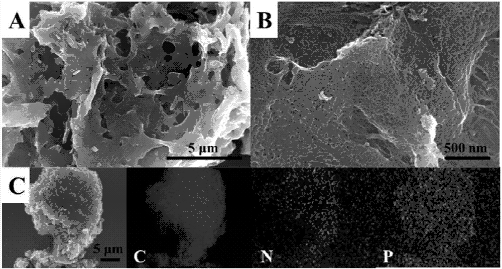 Preparation method and application for nitrogen phosphorus co-doped porous carbon