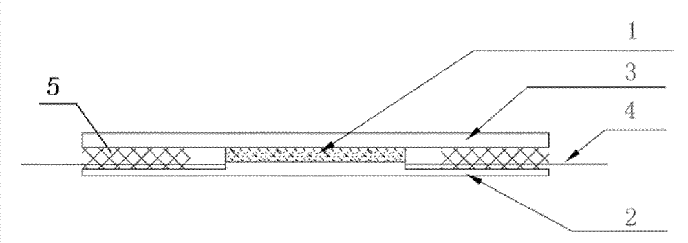 Visualized microscopic model of real core and manufacturing method of visualized microscopic model of real core