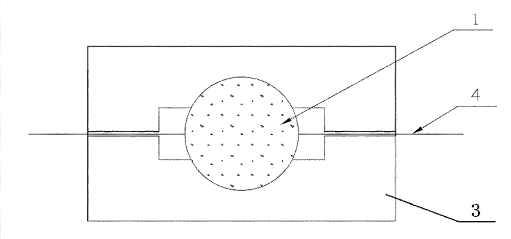 Visualized microscopic model of real core and manufacturing method of visualized microscopic model of real core