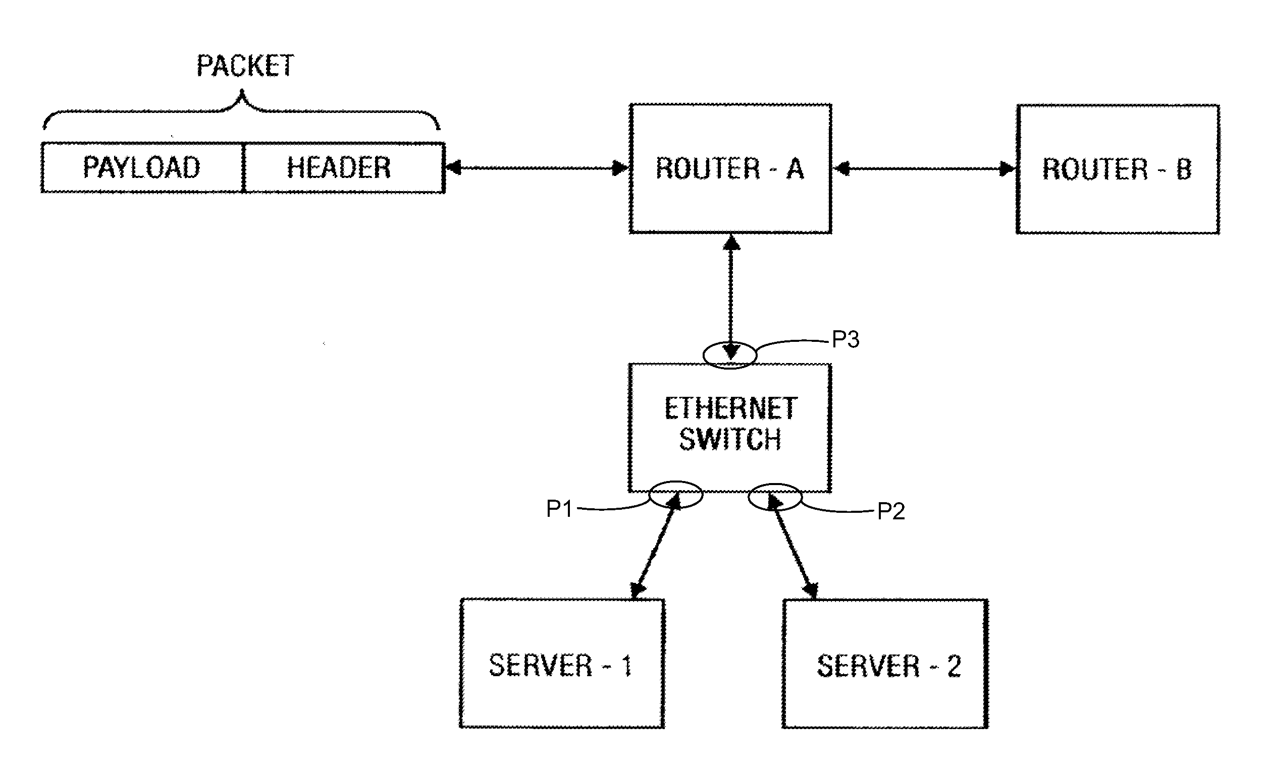 Hybrid data plane forwarding