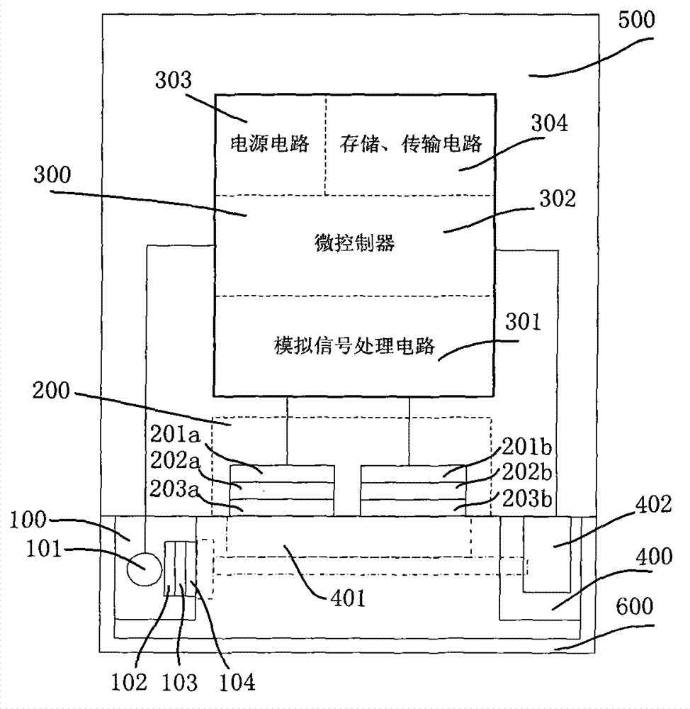 On-line detection method and device for chlorophyll concentration in water body based on two detectors