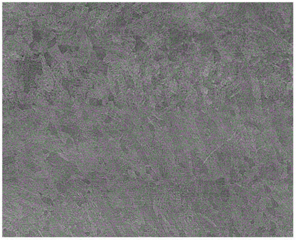 Etching agent and detecting method for macroscopic structure and defects of steel