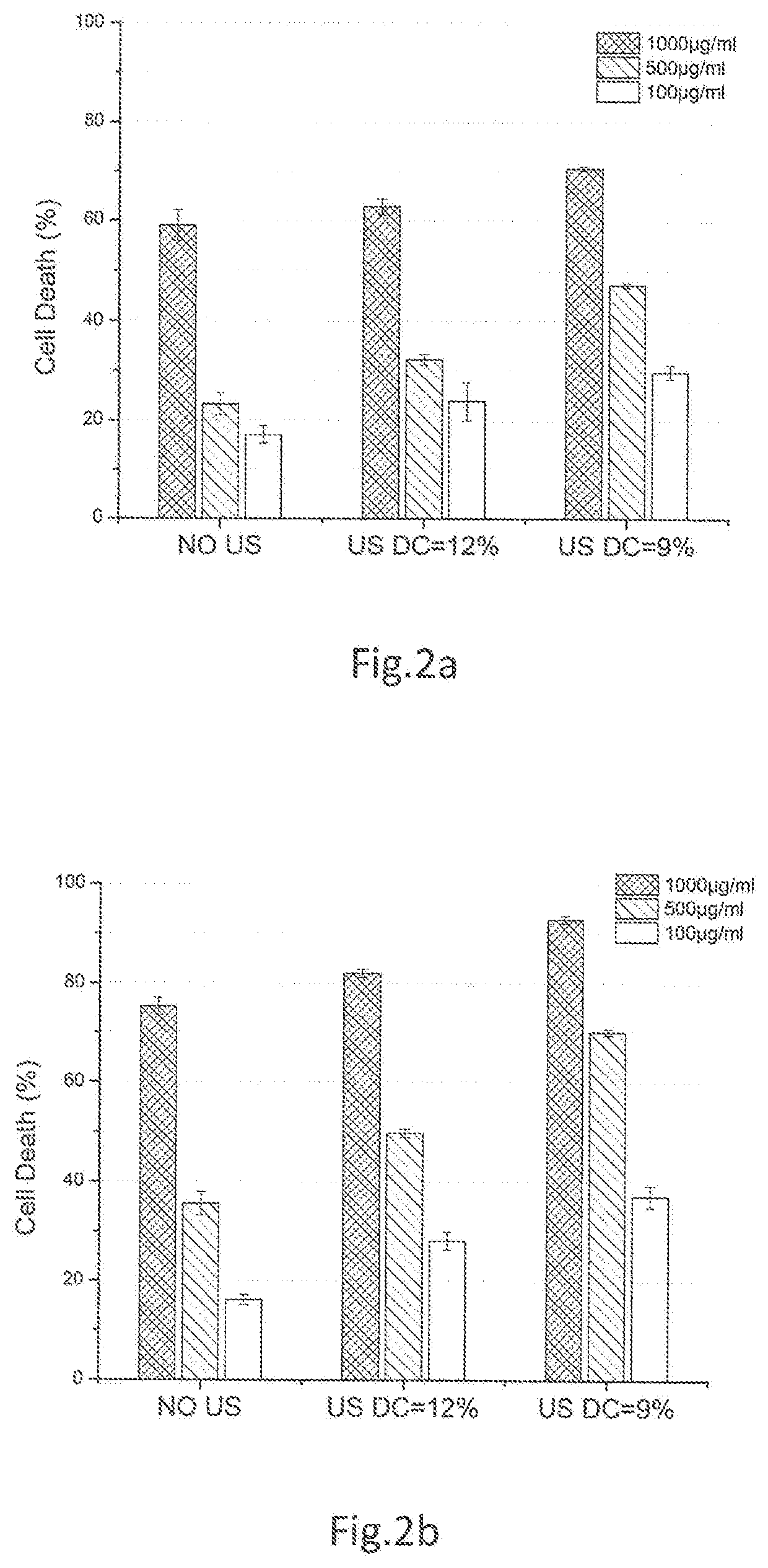 System for inducing sonoporation of a drug into cancer cells and method thereof