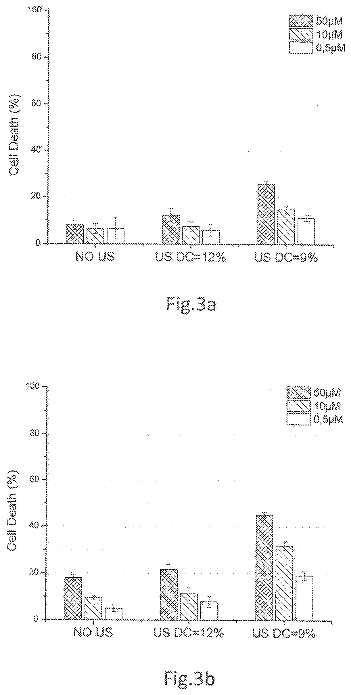 System for inducing sonoporation of a drug into cancer cells and method thereof