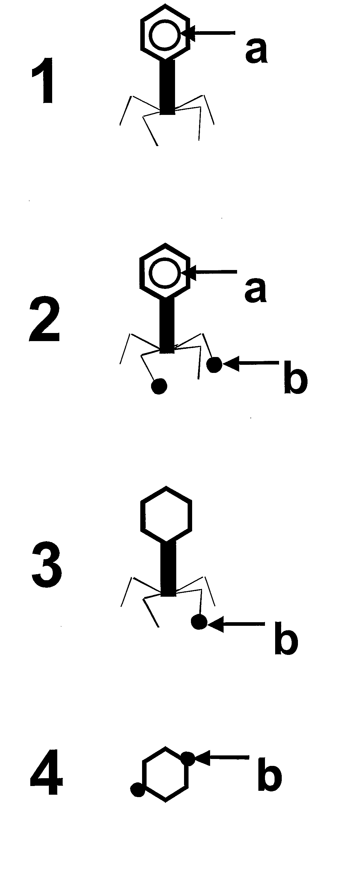 Chimeric Bacteriophages, Chimeric Phage-Like Particles, and Chimeric Phage Ghost Particles, Methods for Their Production and Use