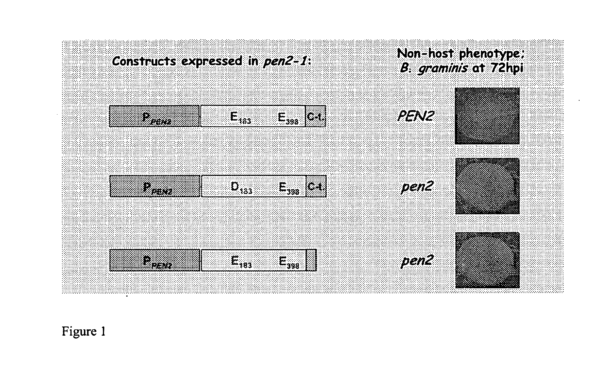 Pesticidal composition comprising indole derivates