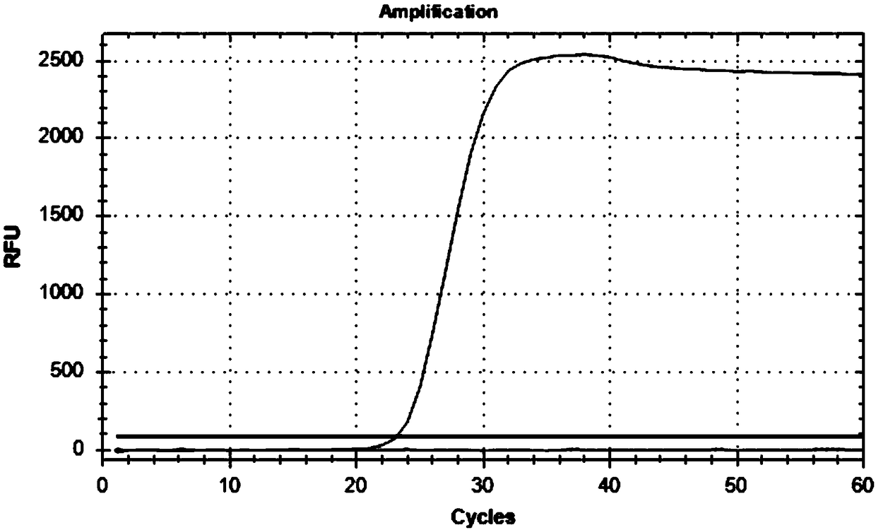 Thermostatic strand displacement amplification technology and kit