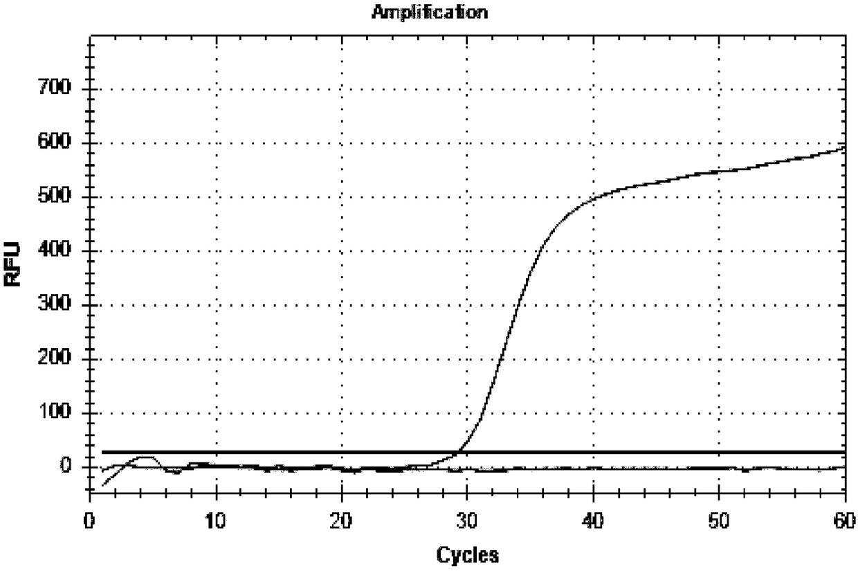 Thermostatic strand displacement amplification technology and kit