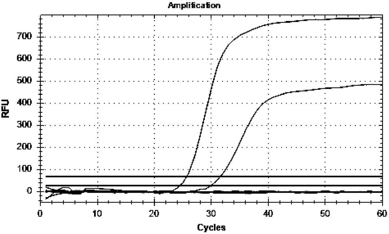 Thermostatic strand displacement amplification technology and kit