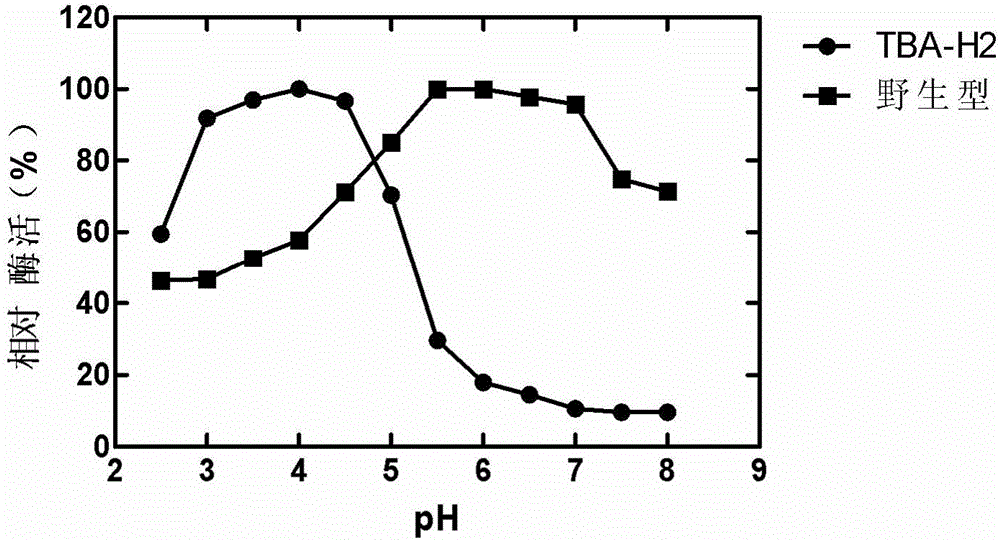 A mutant tba-h2 of acid-resistant high-temperature beta-amylase and its application