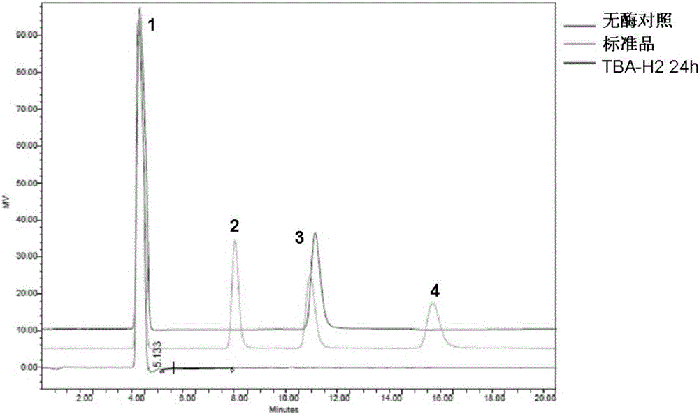 A mutant tba-h2 of acid-resistant high-temperature beta-amylase and its application