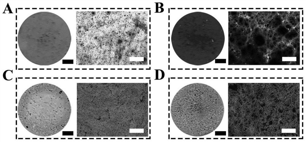 Small-size calcium phosphate fiber as well as preparation method and application thereof