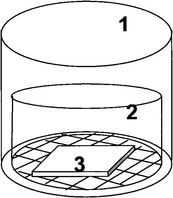 Levamlodipine besylate composition and preparation method thereof