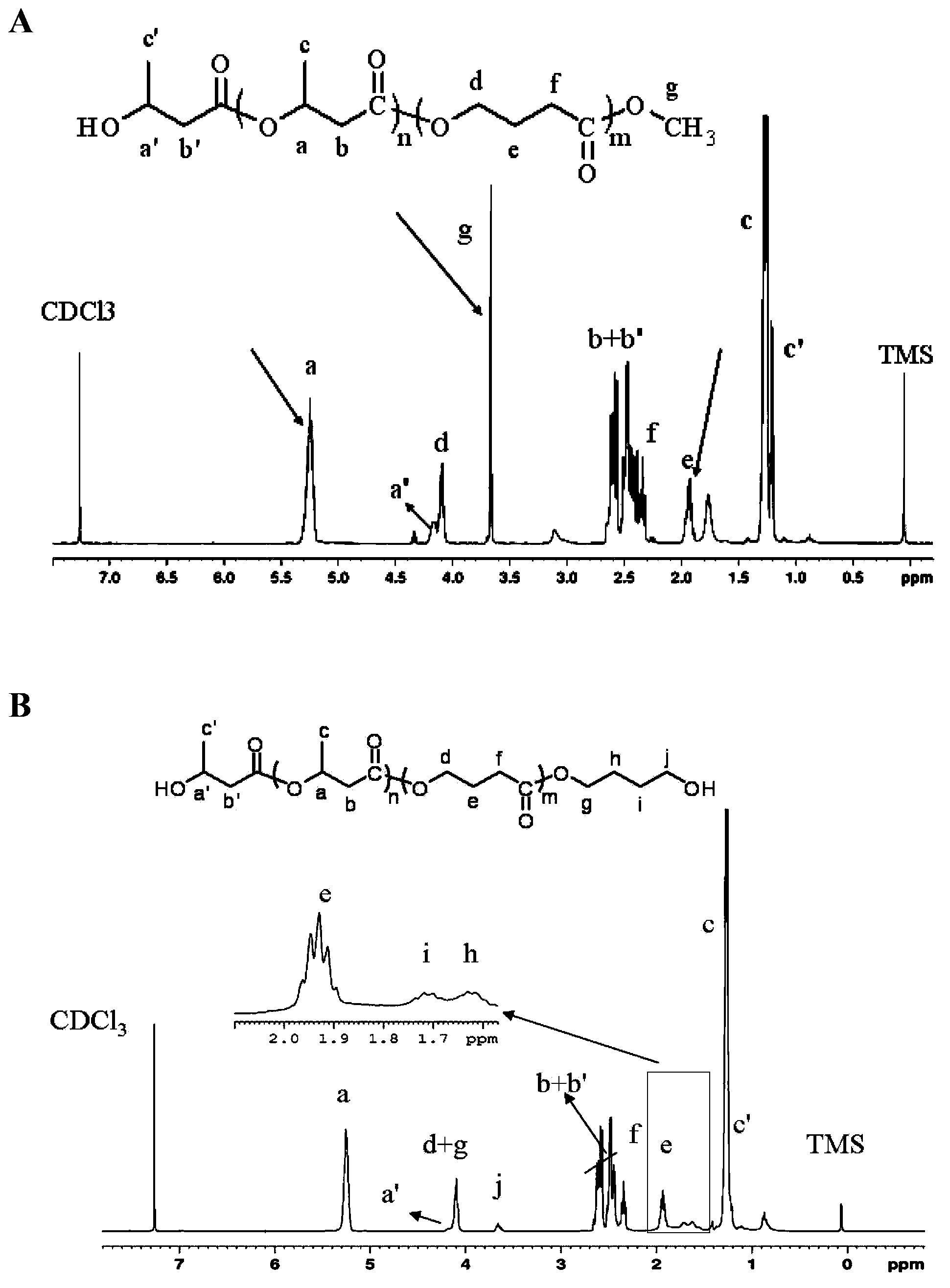 Amphiphilic triblock copolymer, preparation method and siRNA drug carrier