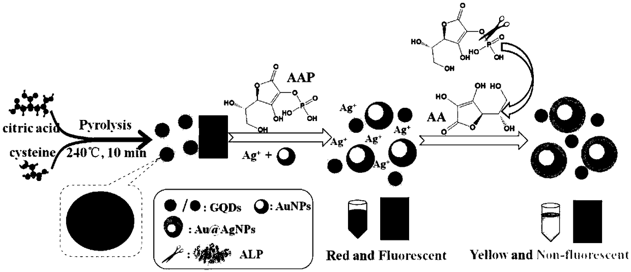 Two-channel detection method of alkaline phosphatase activities