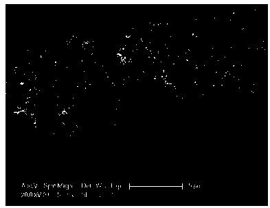 Immobilized nano porous BiFeO3 and preparation method thereof