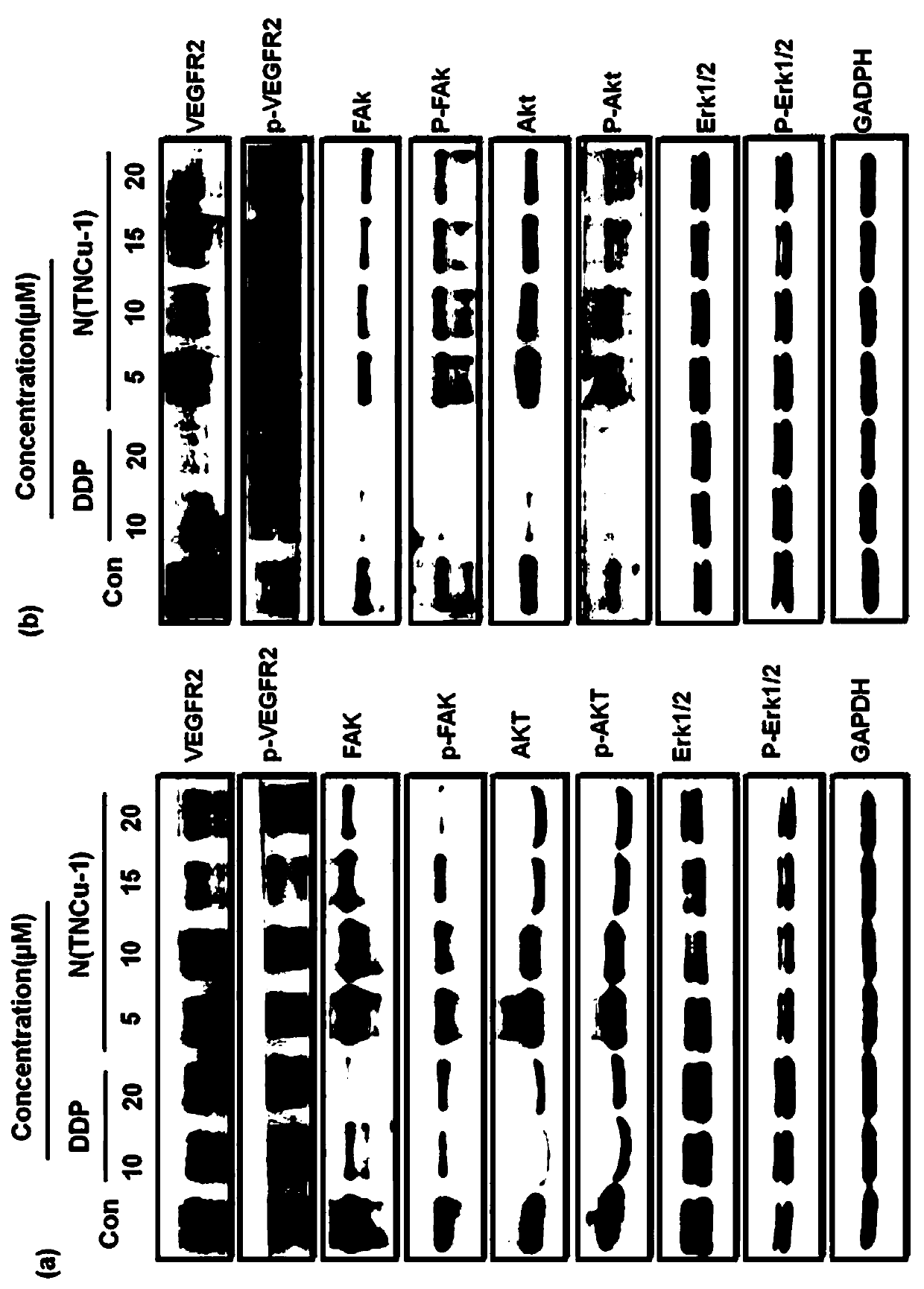 Sulfur-containing amino alcohol Schiff base copper complex, and preparation method and application thereof