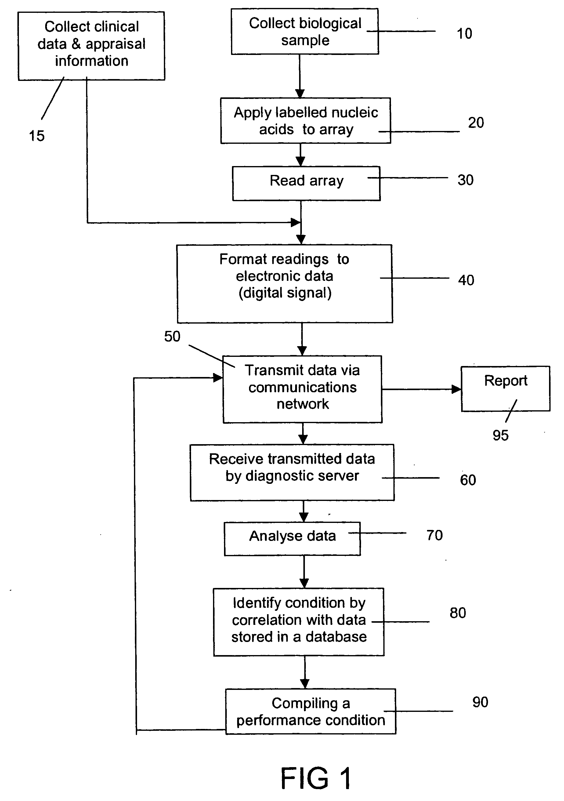 Diagnostic method for assessing a condition of a performance animal