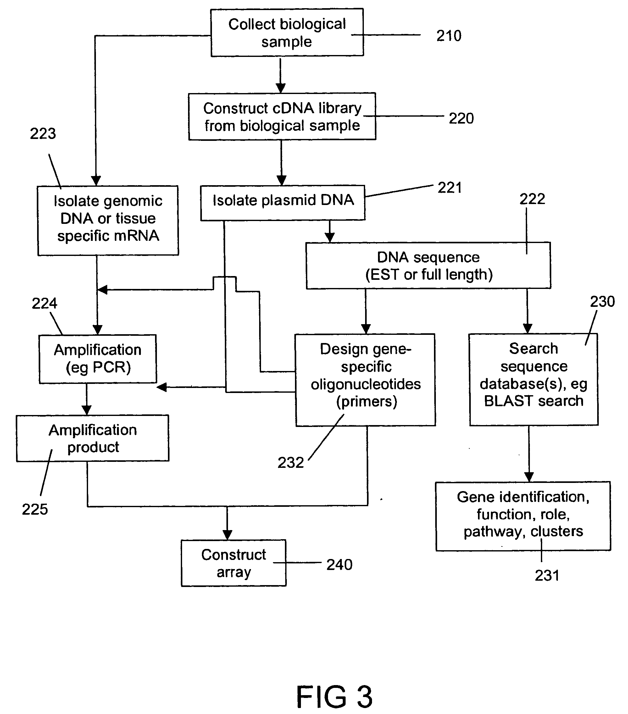 Diagnostic method for assessing a condition of a performance animal