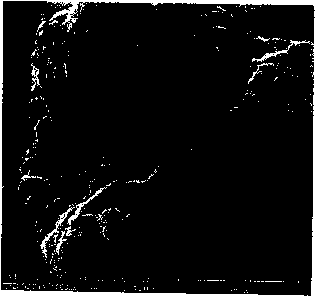 Preparation method of compound absorbent for removing nitrogen oxide