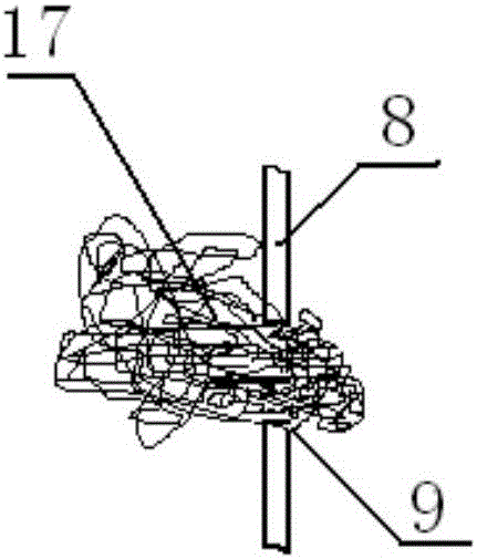 Electrode bio-membrane reactor capable of synchronously removing nitrate and hexavalent chromium