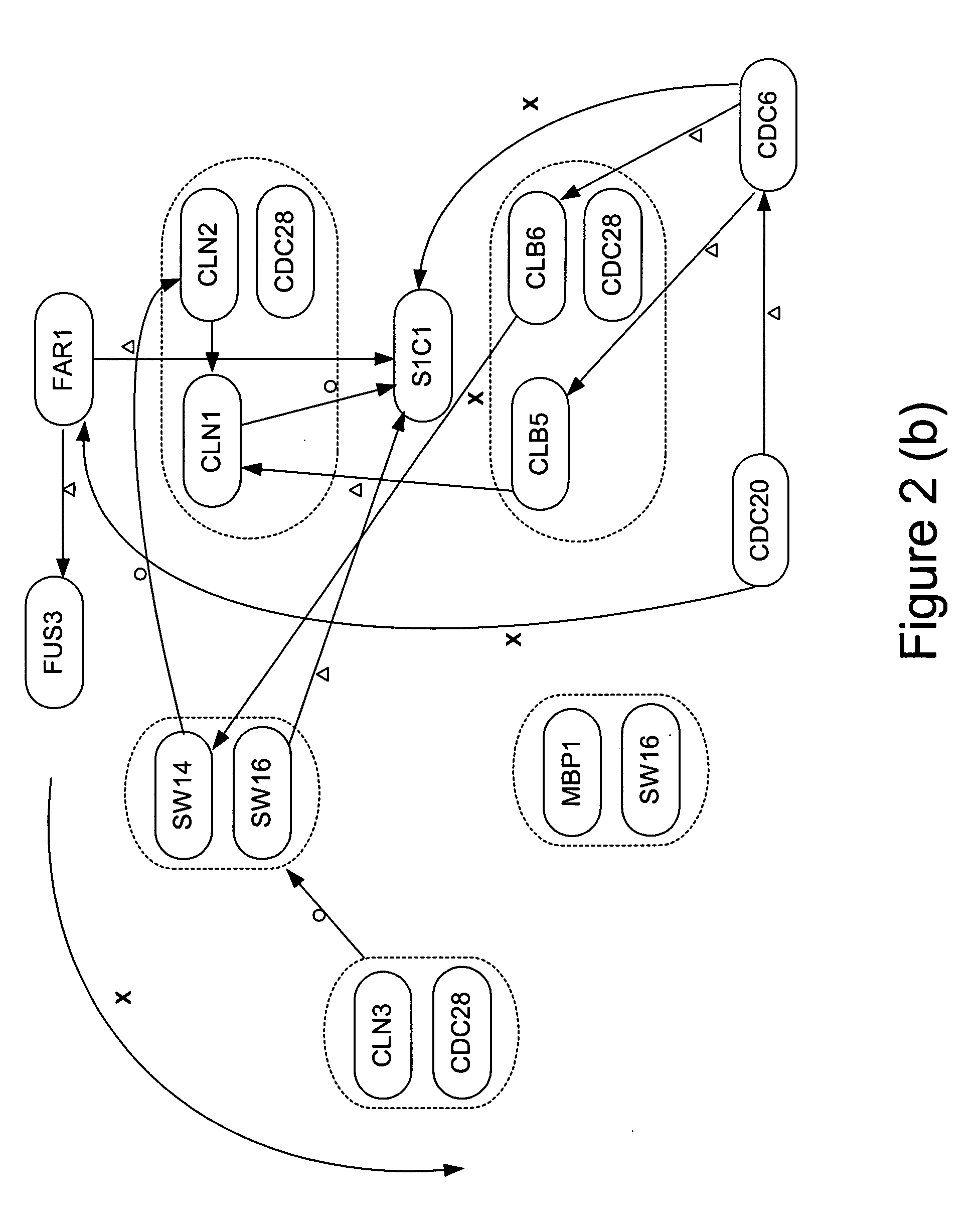 Nonlinear modeling of gene networks from time series gene expression data