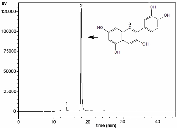 Method for extracting natural antioxidant from shells of camellia oleifera