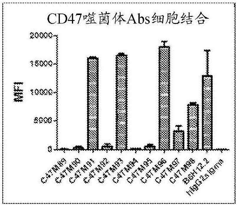 Cd47 antibodies, methods, and uses