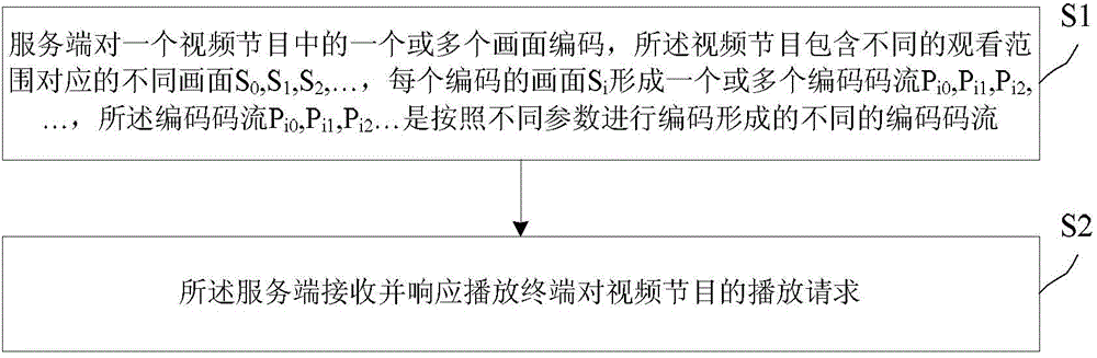 Network video image processing method and device