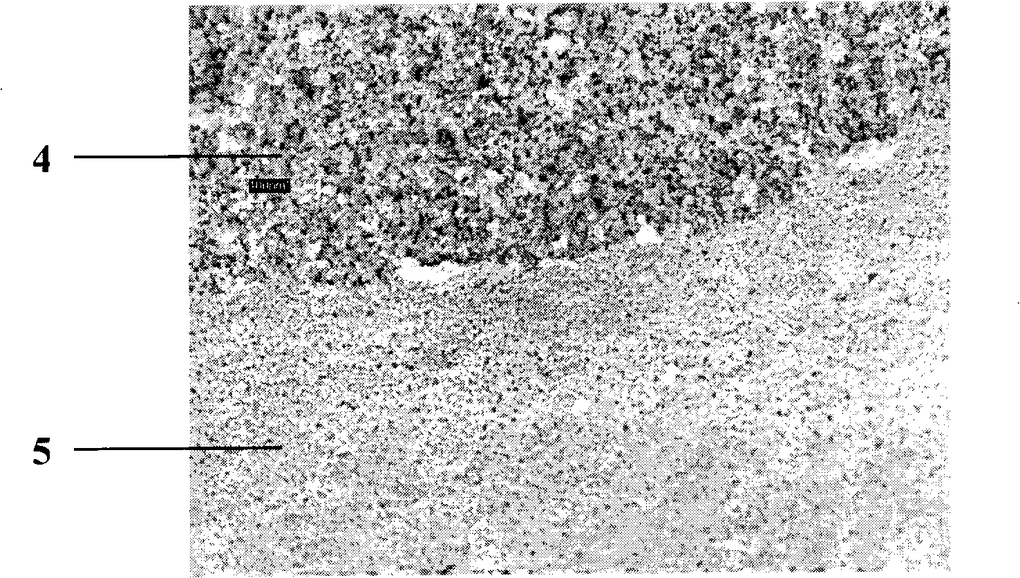 Titanium dioxide compound film optoelectronic pole and its production method