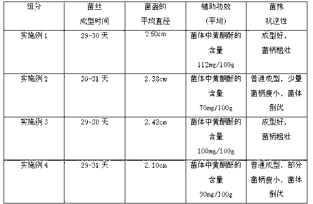 Practical white beech mushroom medium and its preparation method